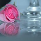 Rose mit Glas