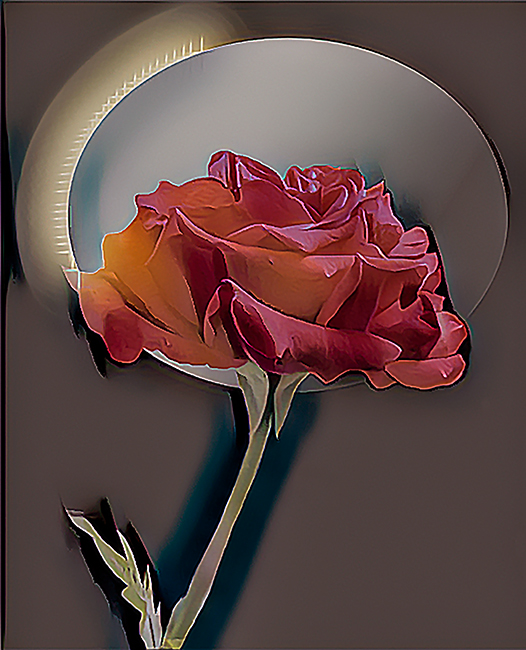 Rose mit texture 