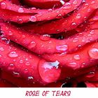 rose of tears