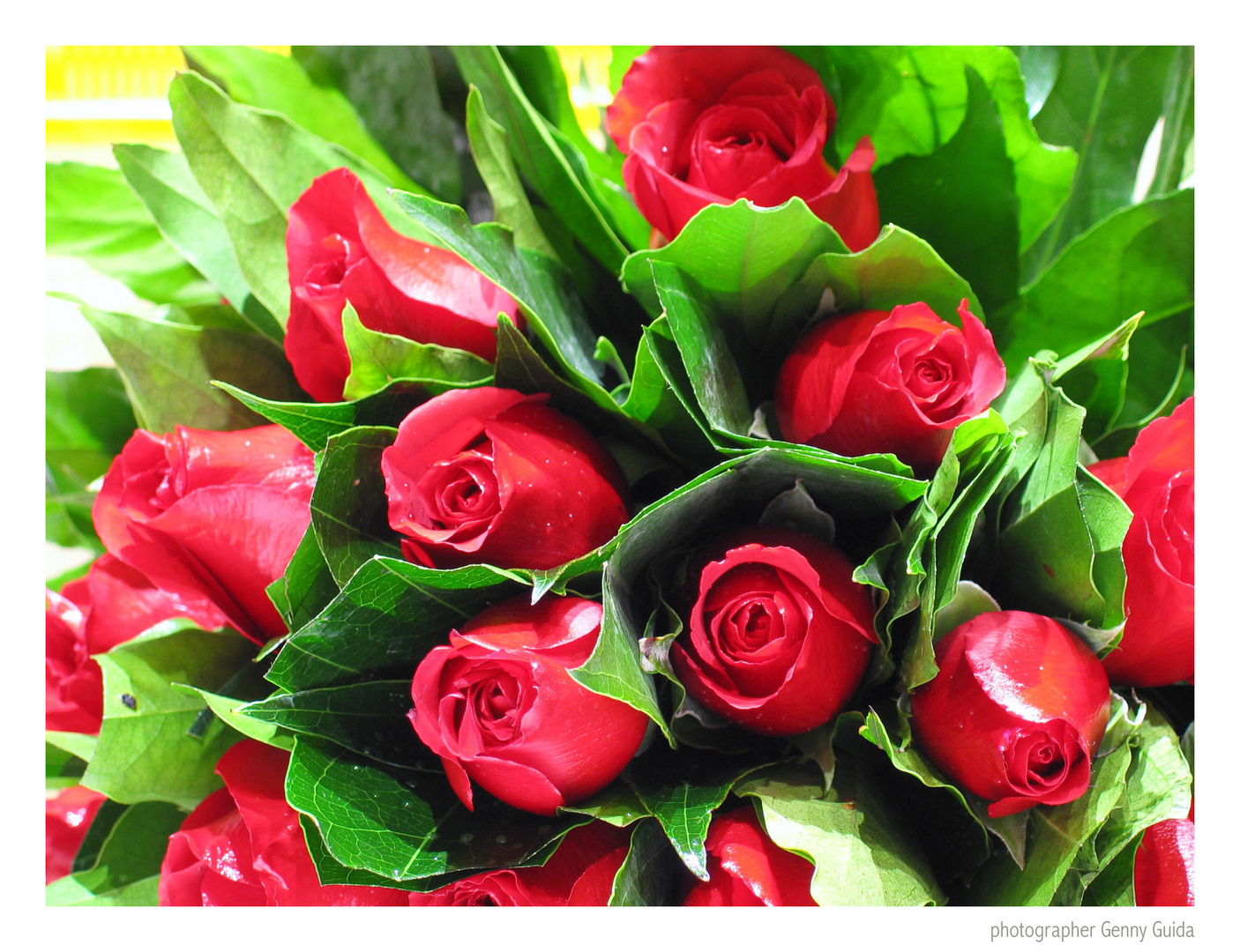 rose rosse per te !