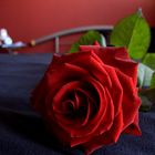 .: rose-scented :.