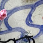 Rose vs. Graffiti