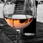 Rosé - Wein