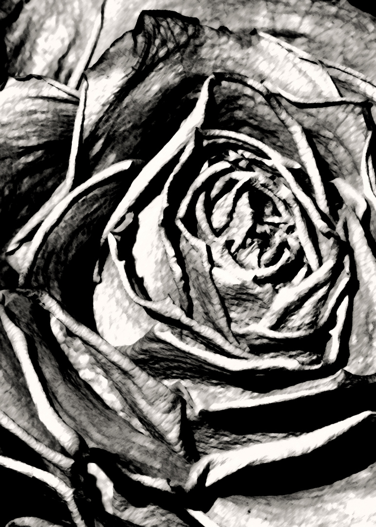 Rose Wie Gemalt Foto Bild Manga Digiart Bilder Auf Fotocommunity