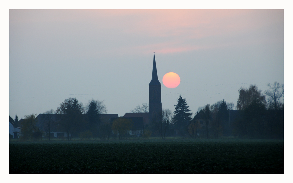 Rosefeld Sonnenuntergang