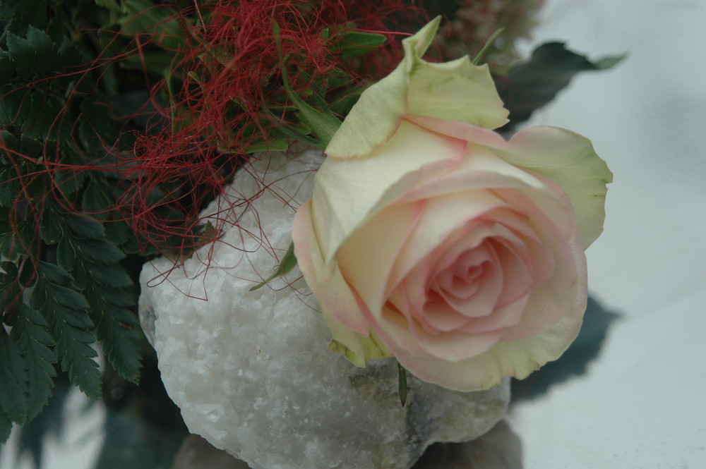 Rose/Marmorkristall