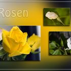 Rosen