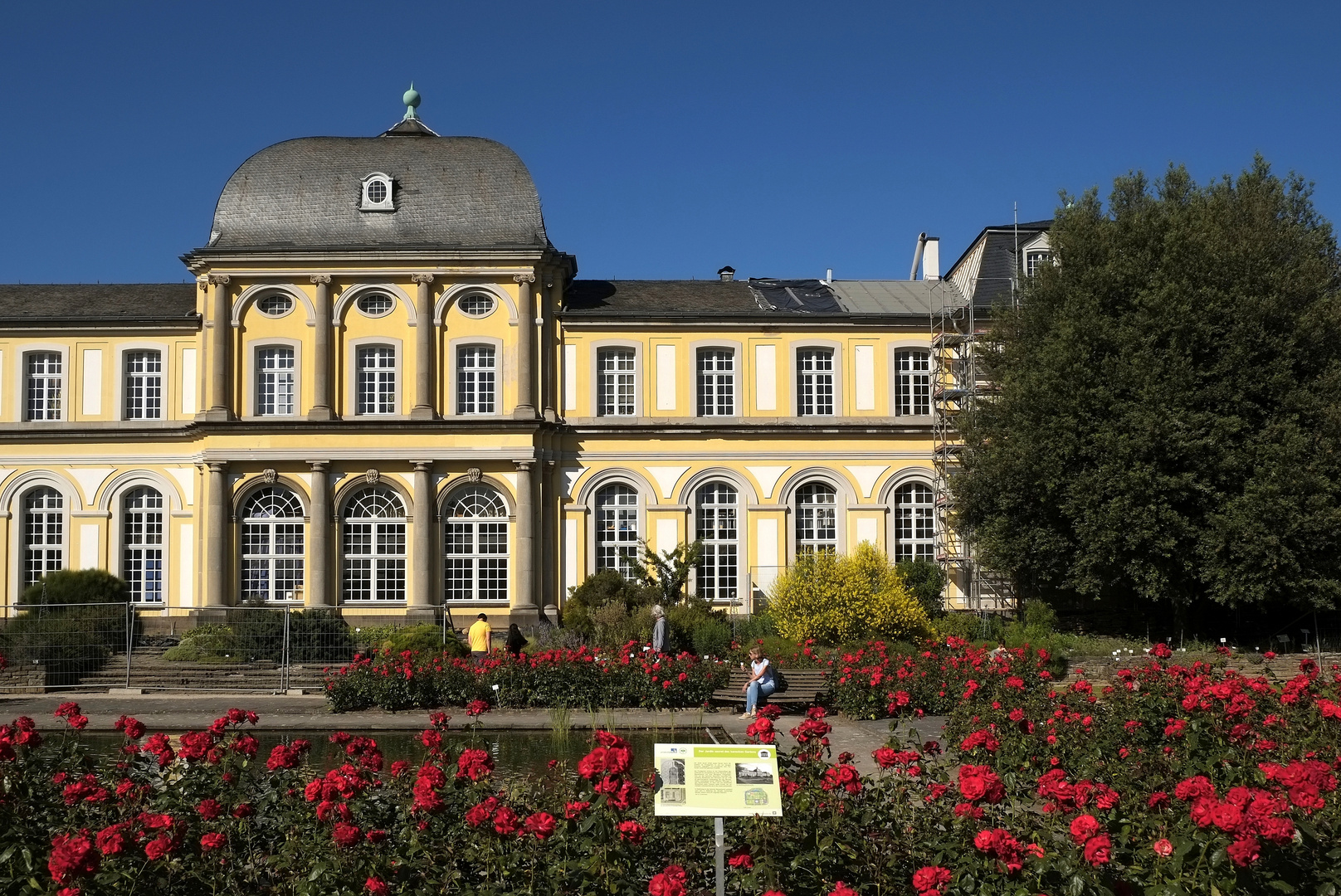 Rosen am Schlossteich