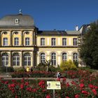 Rosen am Schlossteich