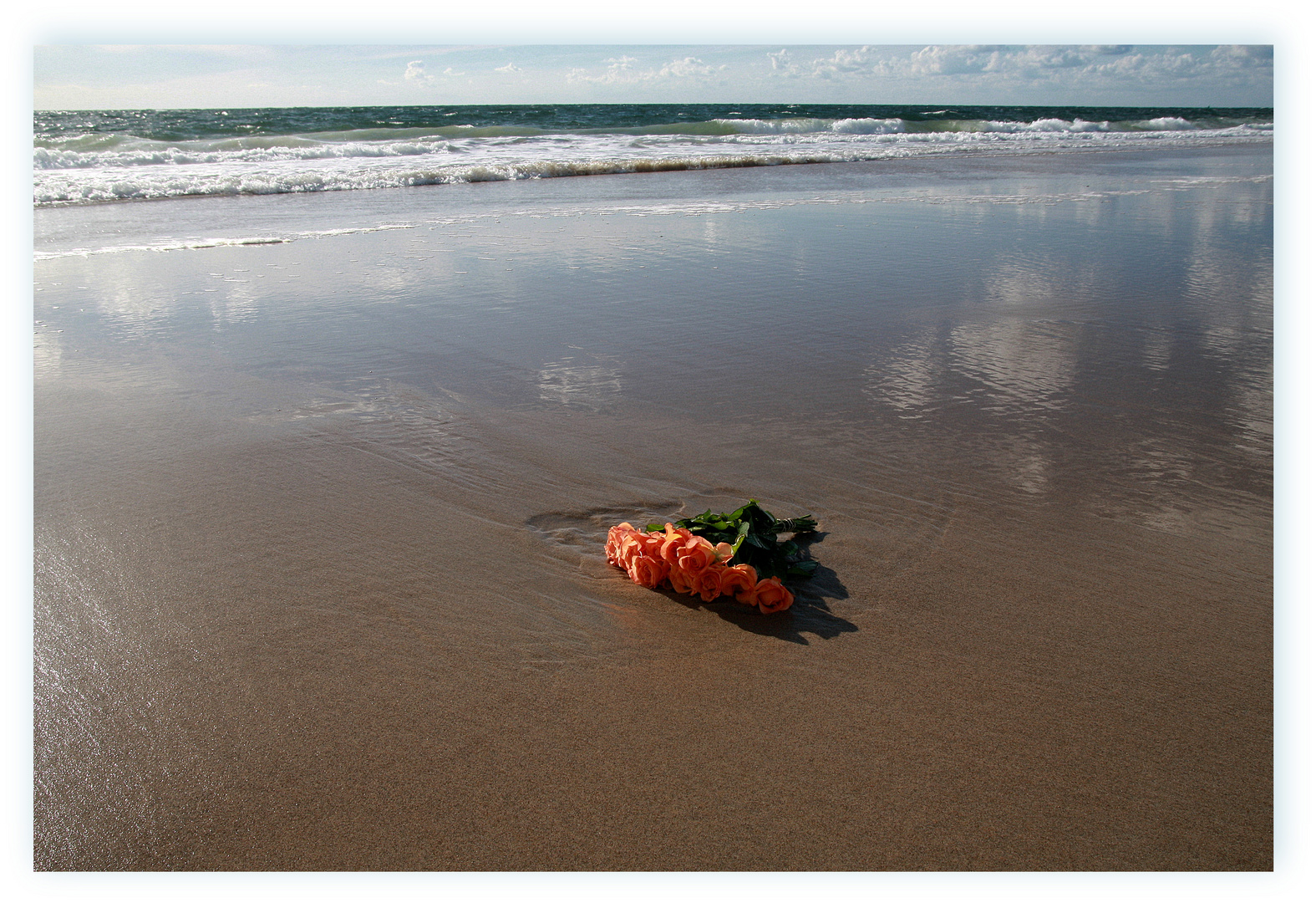 Rosen am Strand