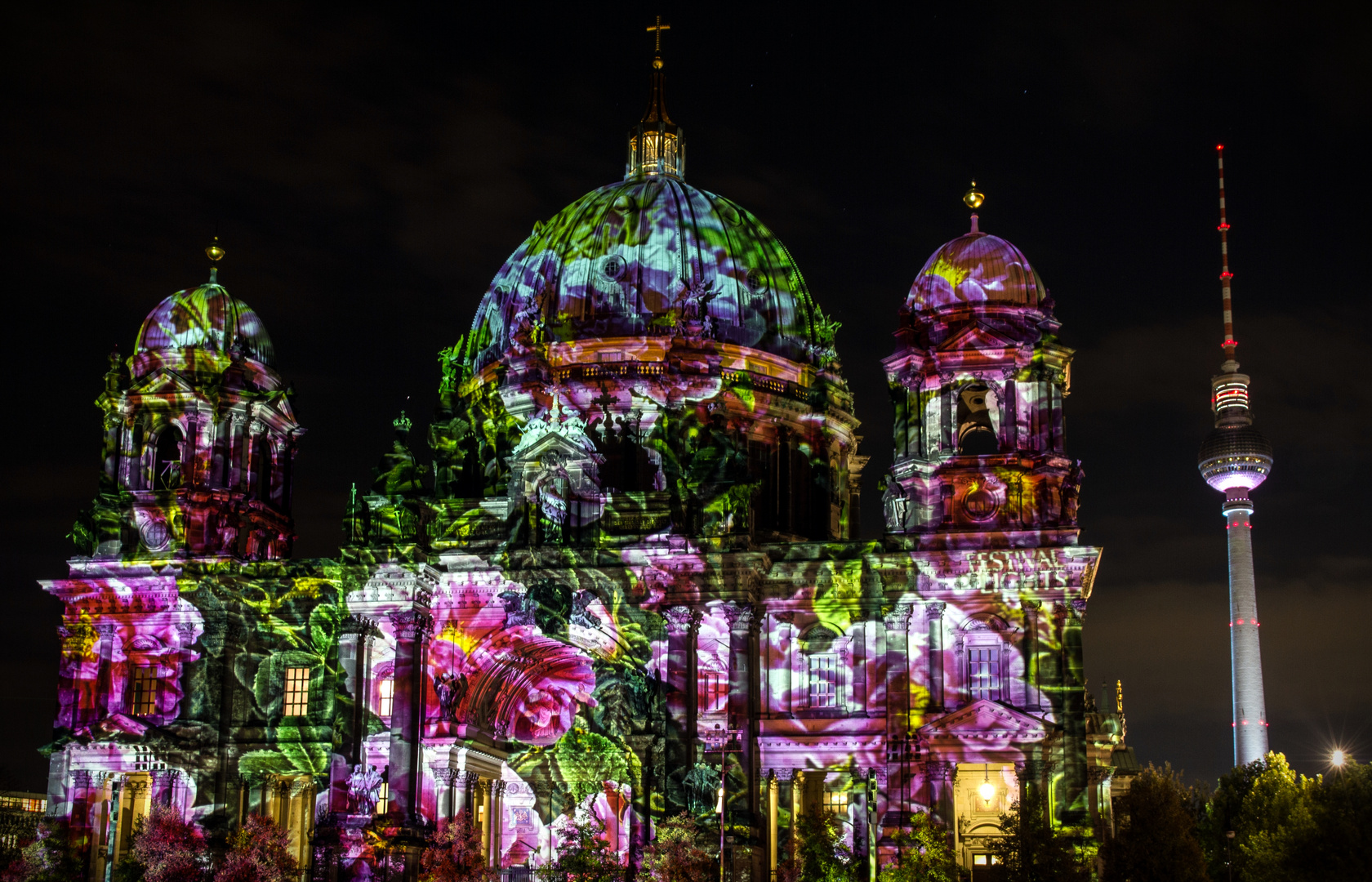 Rosen auf dem Dom