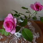 Rosen aus dem Garten in die Vase