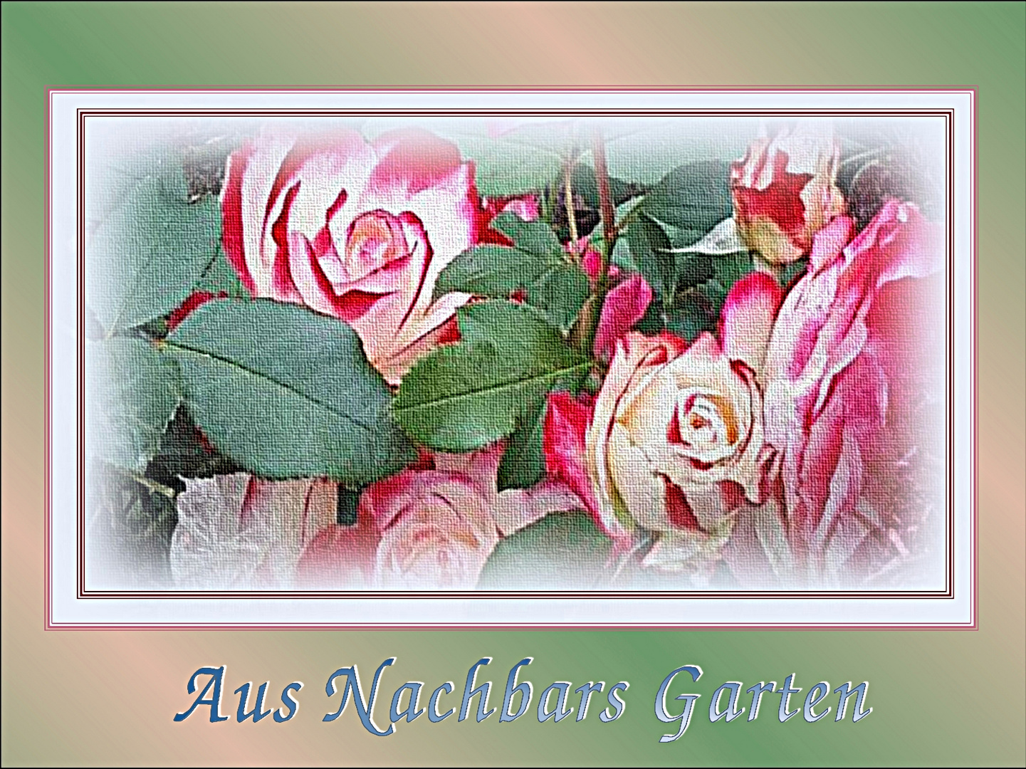 Rosen aus Nachbars Garten