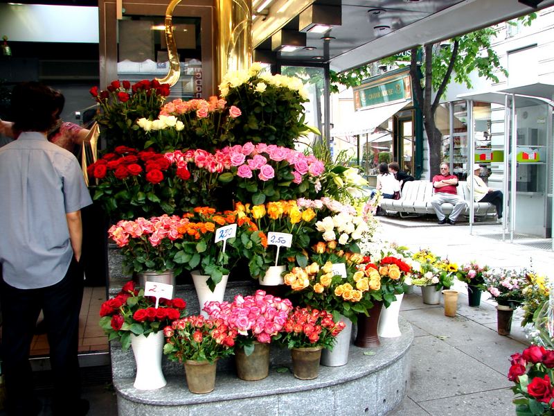 Rosen - die schönsten blumen für mich und