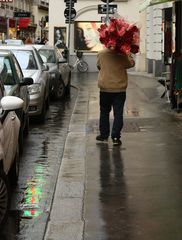 *Rosen für die DameN*