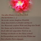 Rosen-Gedicht