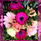 Rosen ... Gerbera ... Anemonen ... 