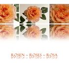 Rosen II....