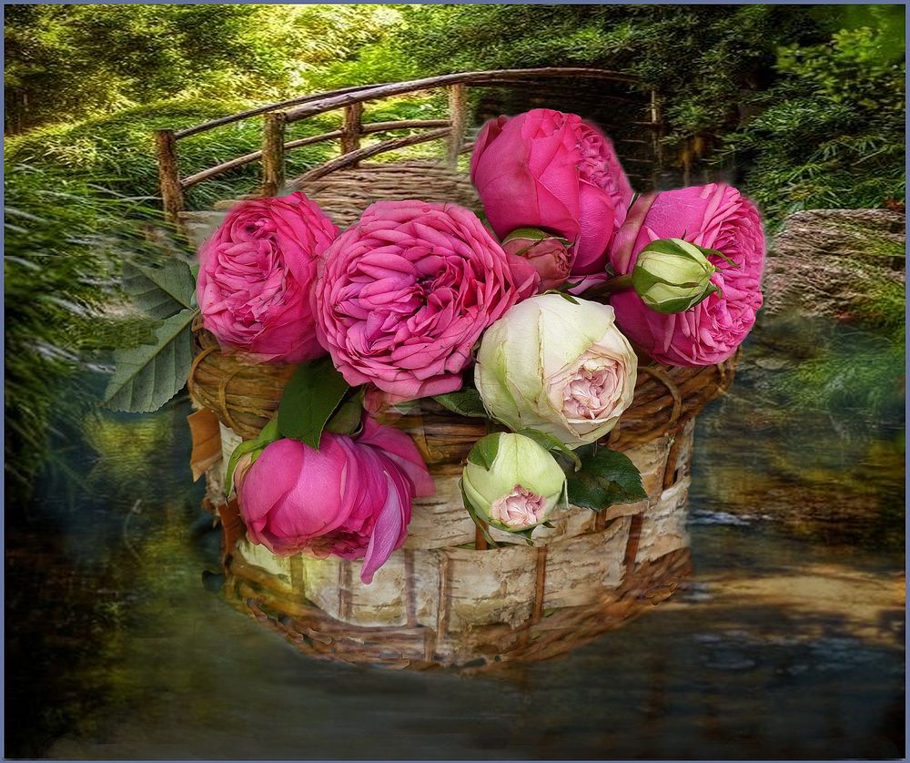 Rosen im Korb Foto & Bild | blumen , art, nature Bilder auf fotocommunity