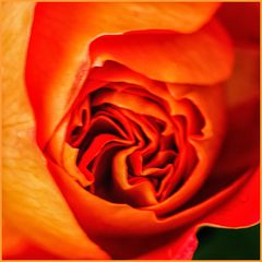 Blumen