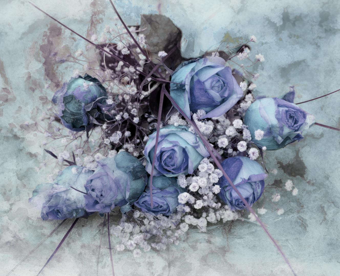 Rosen in Blau