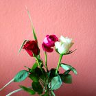 Rosen in Farbe