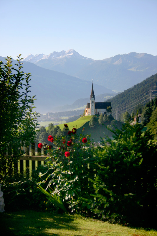 Rosen in Fügen