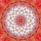 Rosen Mandala jpg