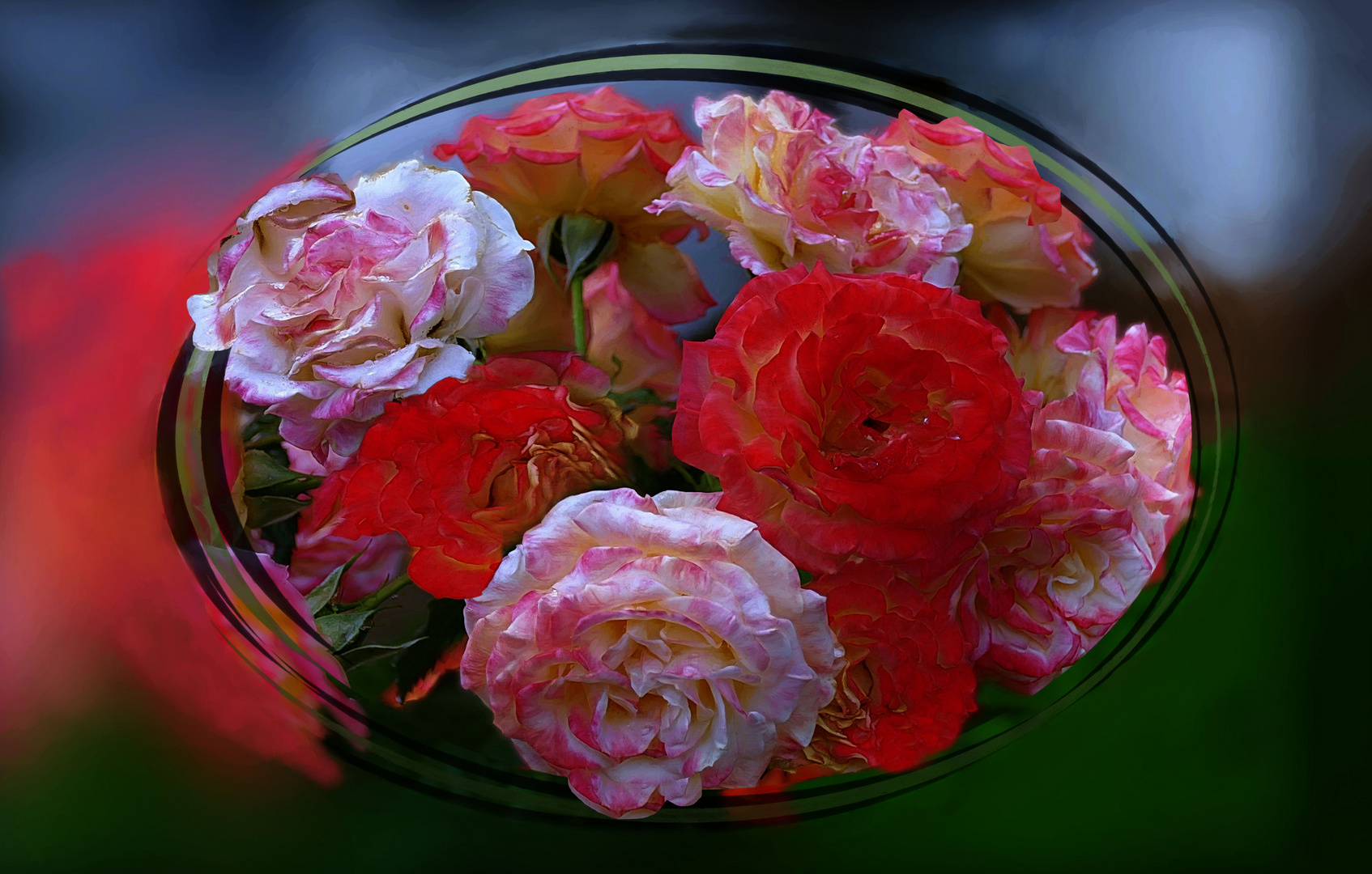 Rosen nach dem Regen