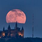 Rosen,- oder auch Erdbeermond über der Burg Hohenzollern