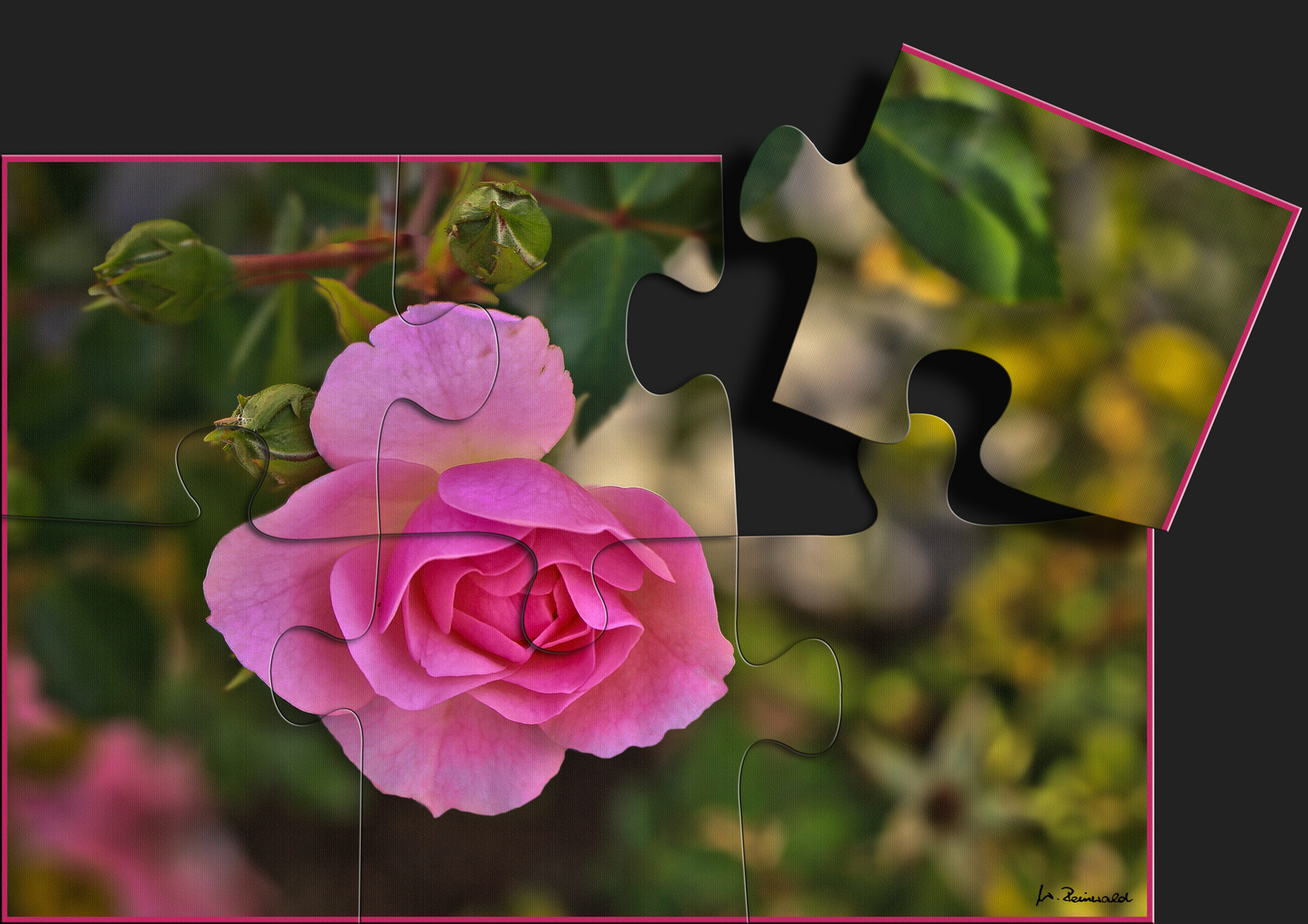 Rosen-Puzzle