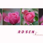 ROSEN Träume