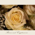 Rosen und Chryptomeria -