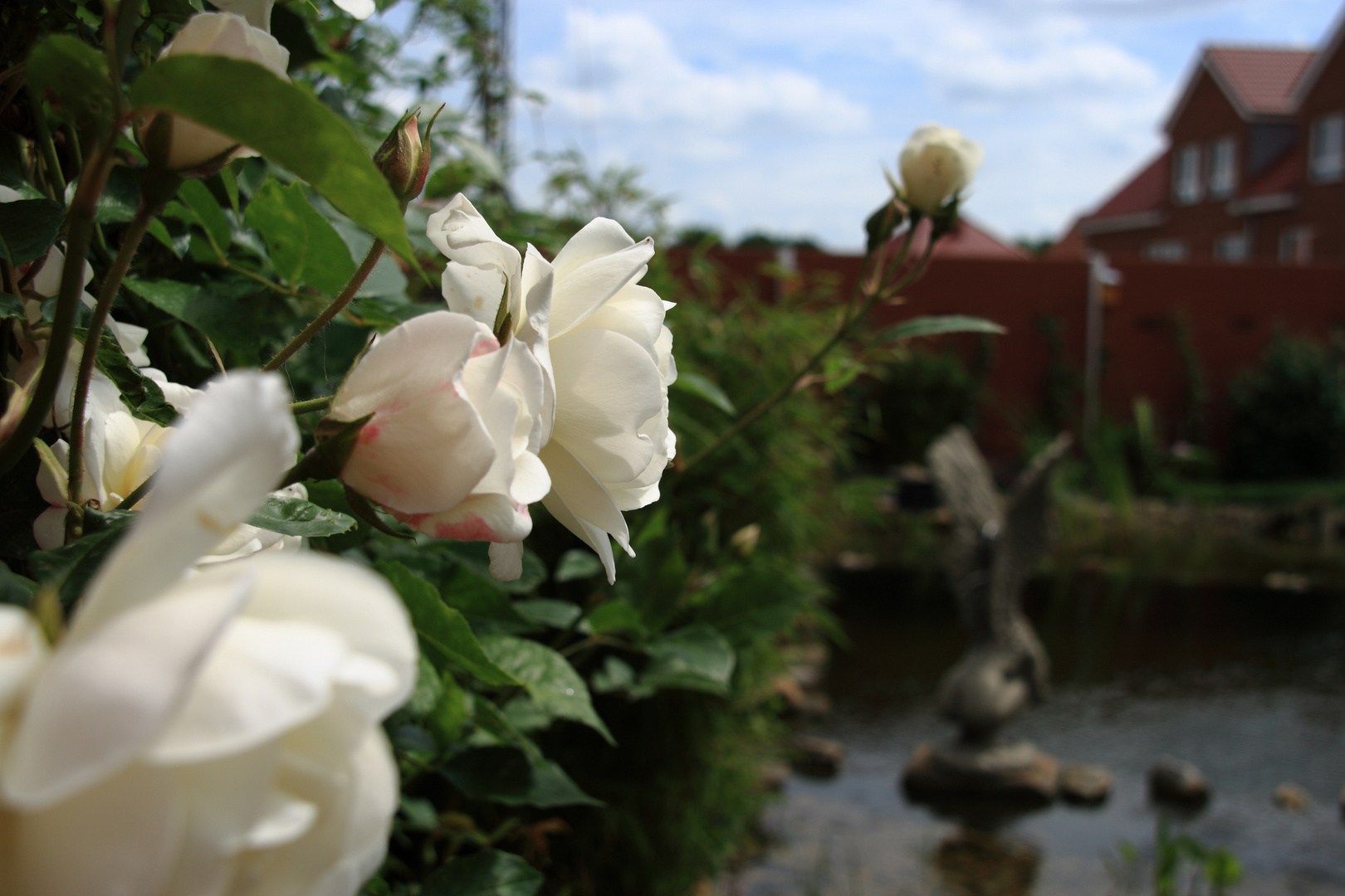 Rosen und Engel