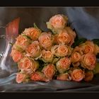 Rosen und Ururgroßmütterchens Saftkrug.... - Roses and great-great-grandma's...