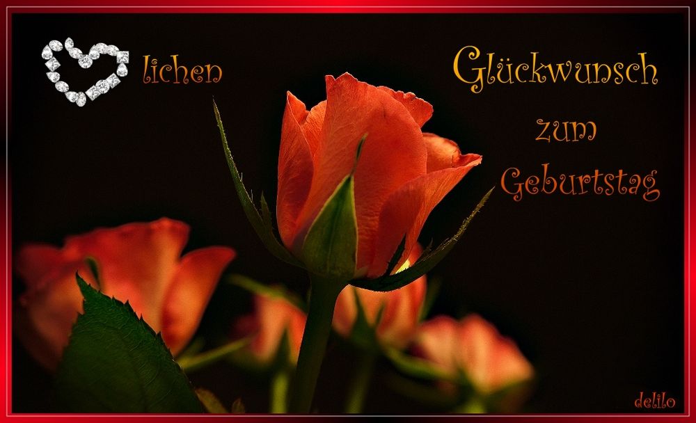 Rosen zum Geburtstag.. Foto & Bild gratulation und feiertage