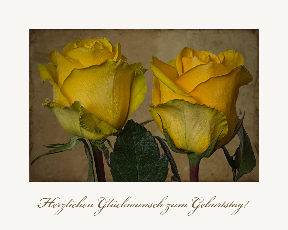 Rosen zum Geburtstag....