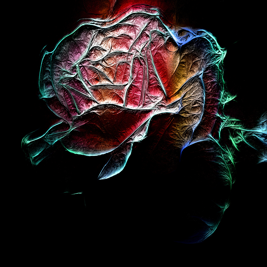 Rosenansicht