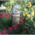 Rosenbeet