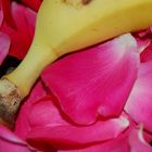 Rosenblätter und Banane
