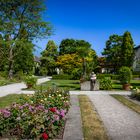 Rosenblüte im Botanischen Garten