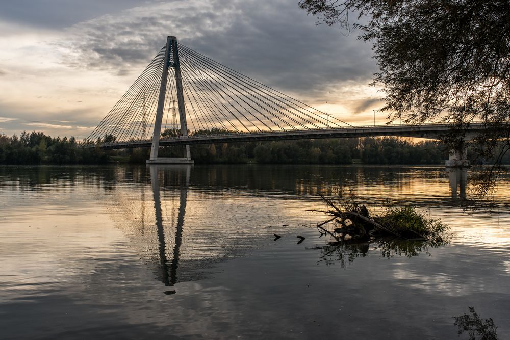 Rosenbrücke