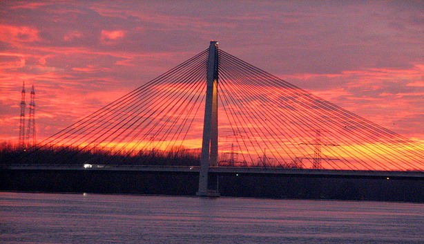 Rosenbrücke in Tulln