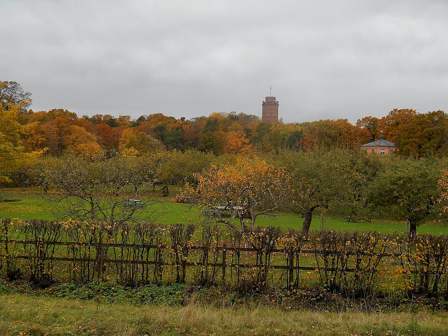 Rosendals trädgård - Djurgården