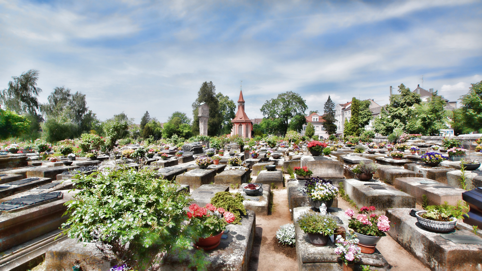 Rosenfriedhof