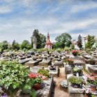 Rosenfriedhof