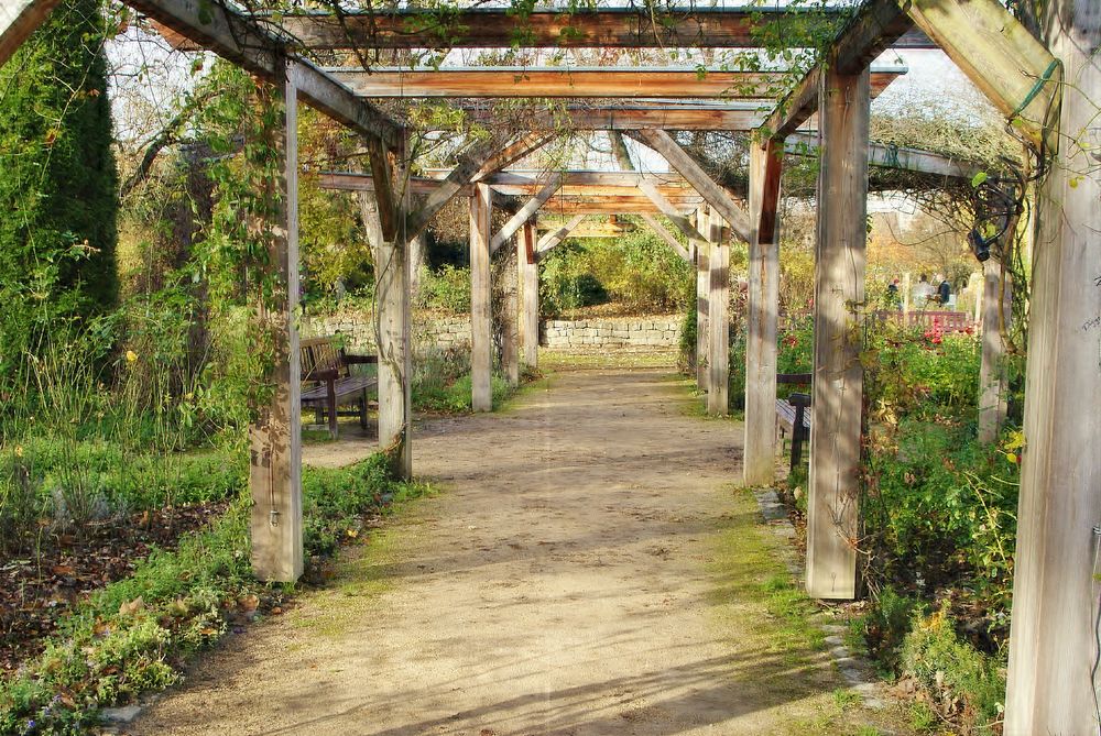 Rosengarten Foto & Bild | frühling, natur, landschaft Bilder auf