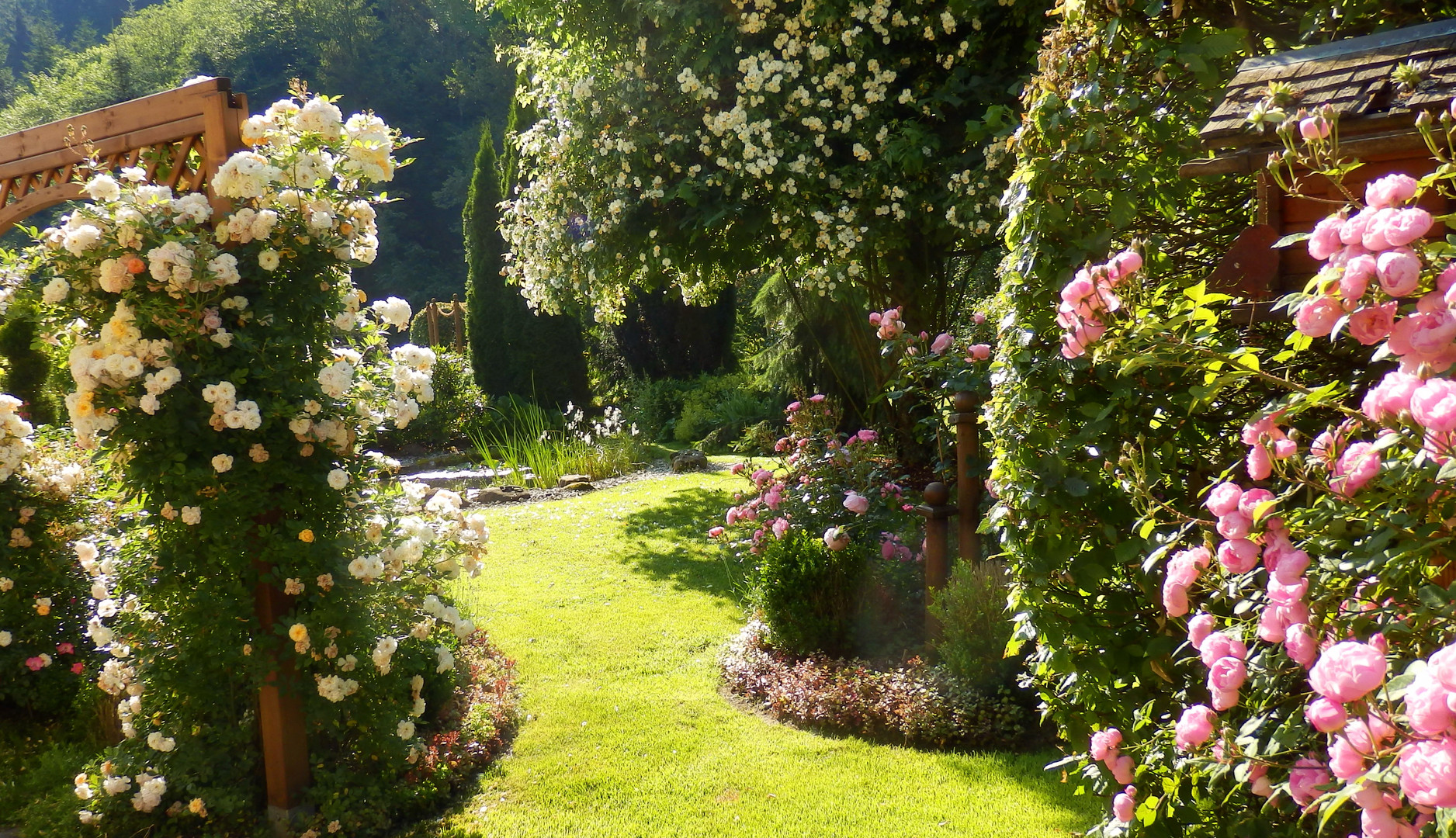 Rosengarten ... Foto & Bild | natur, landschaft, blüten Bilder auf fotocommunity