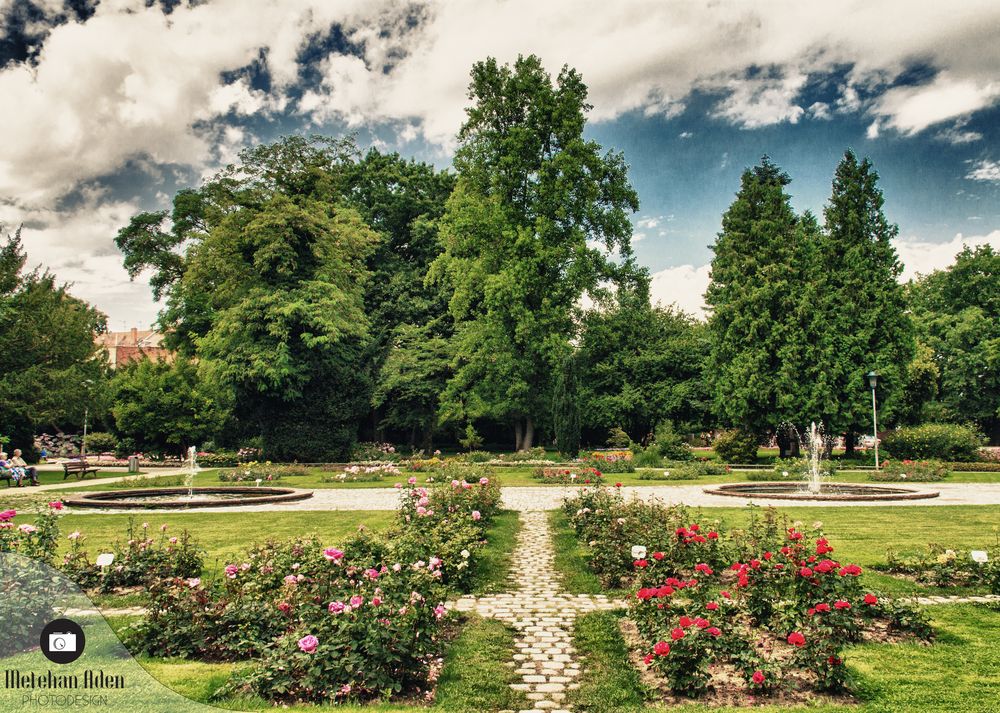 Rosengarten Foto & Bild | landschaft, garten- & parklandschaften, natur