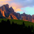 Rosengarten am Abend